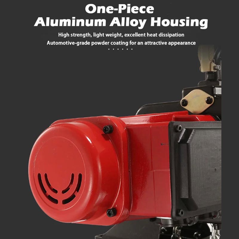 Electric Chain Hoist - 220V Elektrikli Zincirli Vinç Ayarlanabilir Hızlı